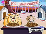 Dog championship kutys macsks jtkok ingyen