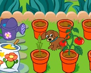 Dora's magical garden