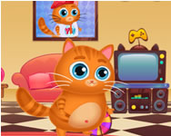 kutys macsks - Lovely virtual cat