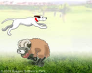 Sheep jumper cics jtkok ingyen
