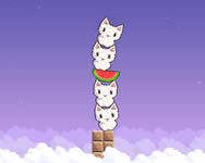 kutys macsks - Cat cat watermelon