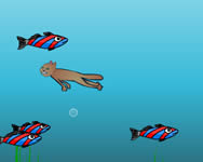 Fish catcher kutyás macskás HTML5 játék