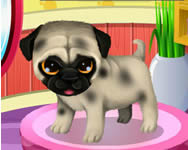 Paws to beauty 3 puppies and kittens online jtk